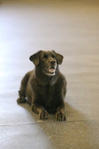 10216348-MK3_1378hi res