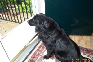 Maddie at the front door